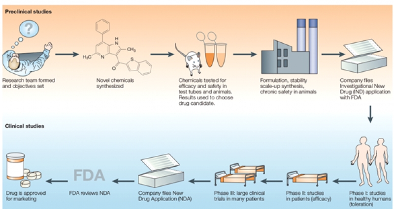Πόσος χρόνος χρειάζεται για να αναπτυχθεί ένα νέο φάρμακο;