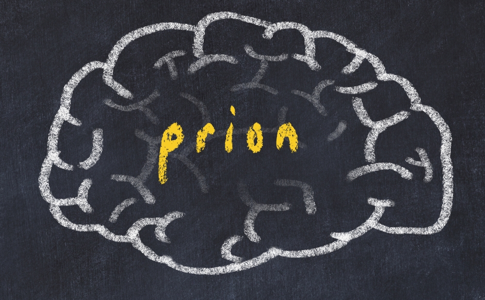 Το μυστήριο πίσω από τα πράιονς και οι ασθένειες που προκαλούν