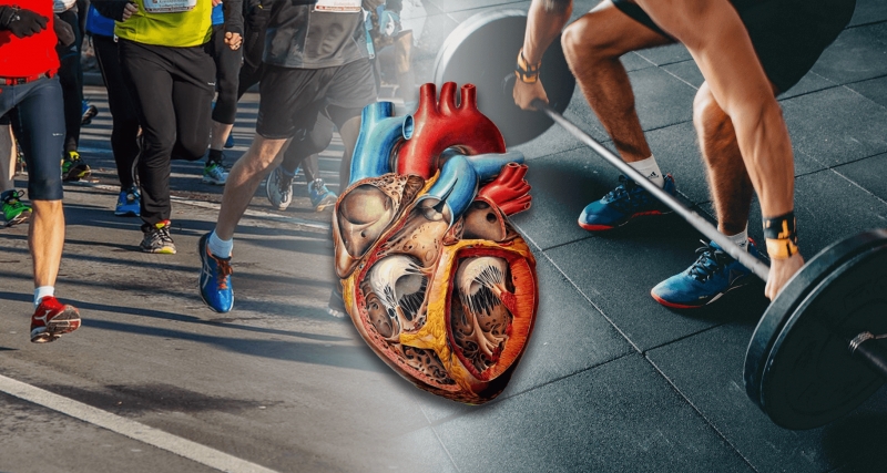 Τι είναι η «αθλητική καρδιά»;