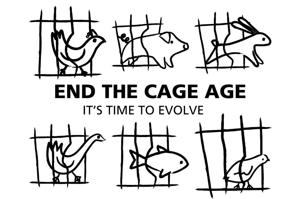 End the Cage Age story